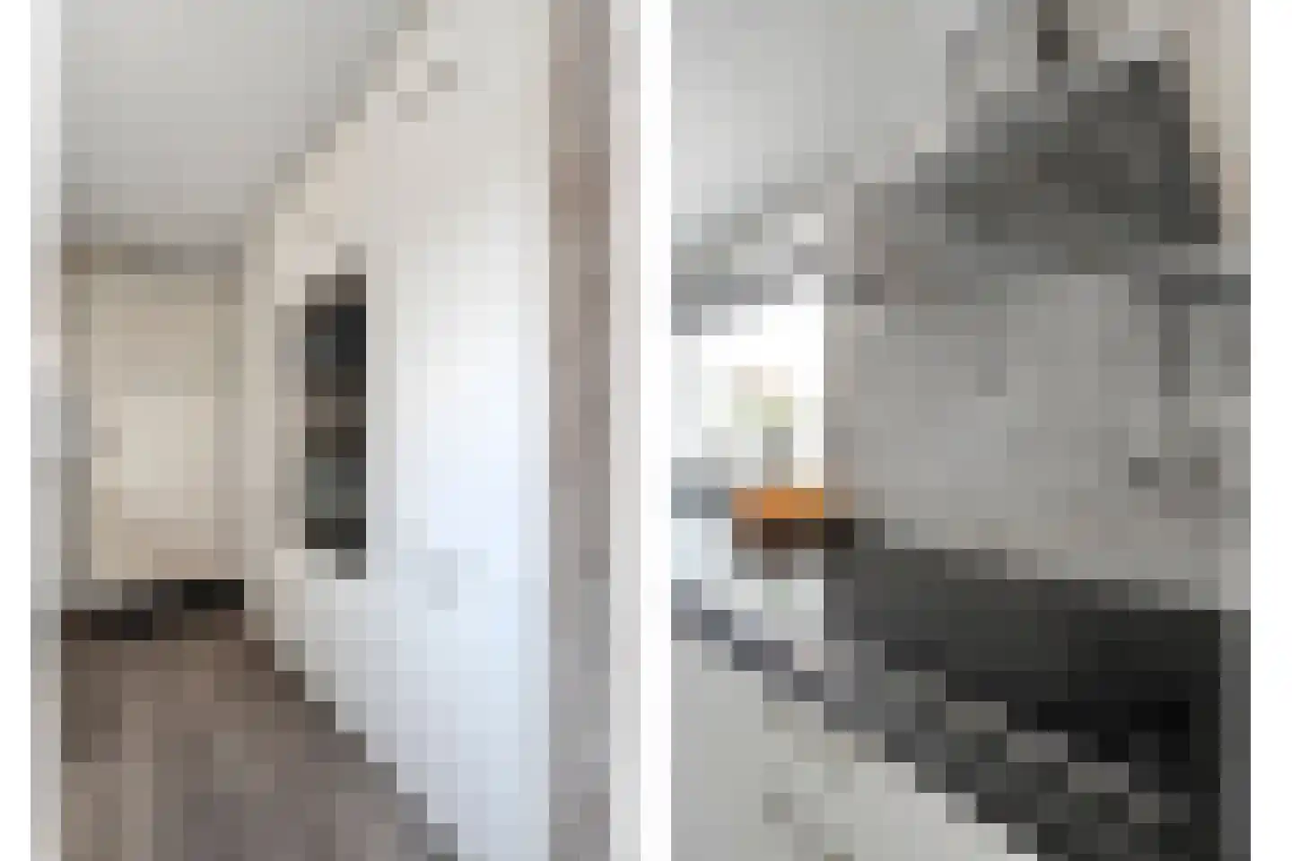 Prinsenkampsweg 14 Almelo thumbnail 11
