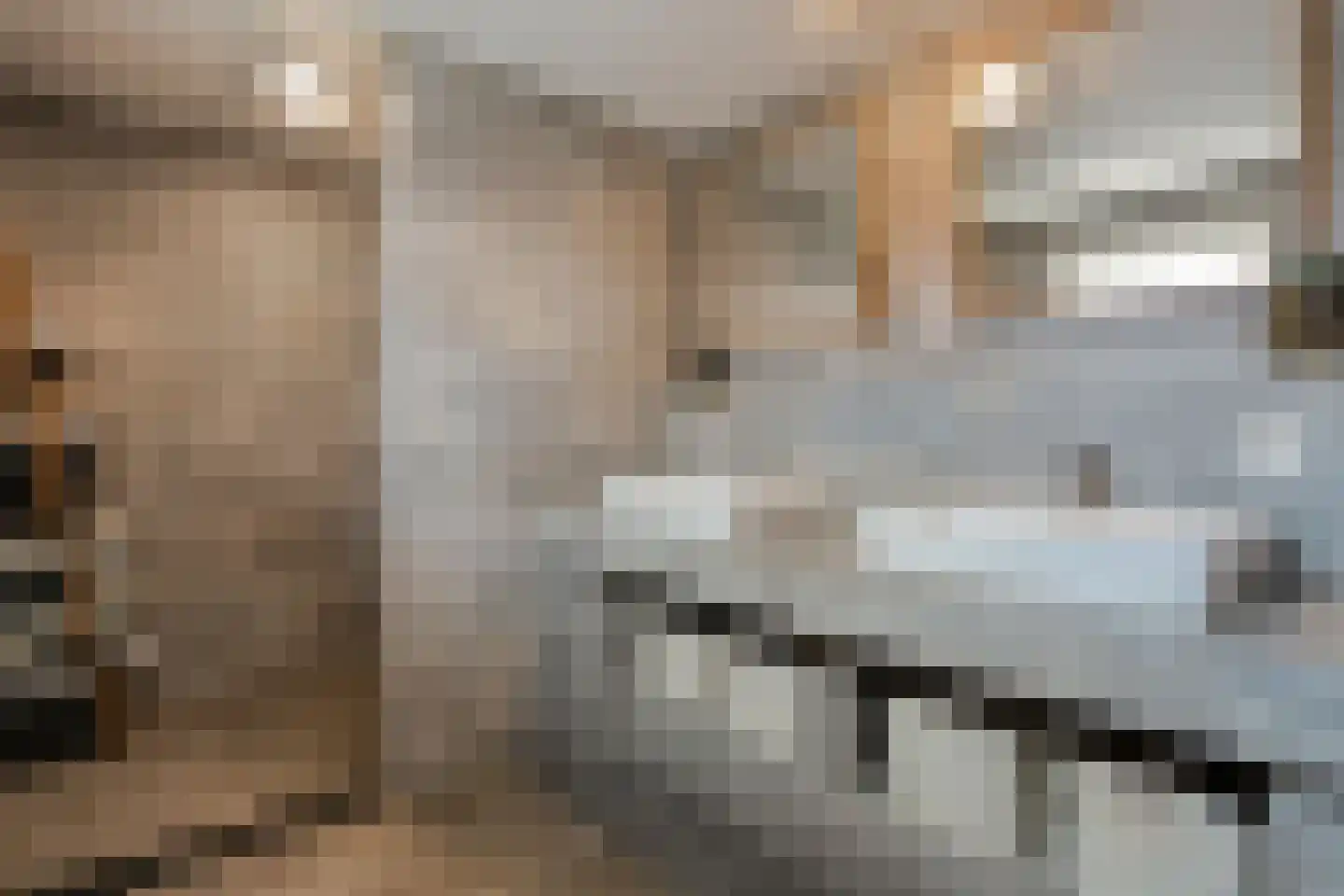 Prinsenkampsweg 14 Almelo thumbnail 12