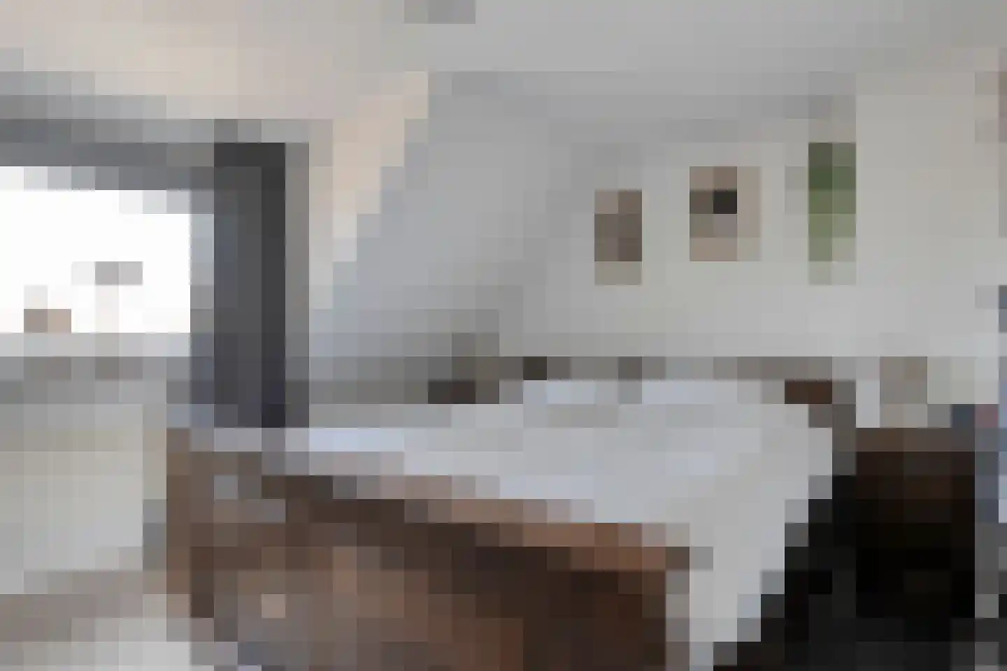 Prinsenkampsweg 14 Almelo thumbnail 19