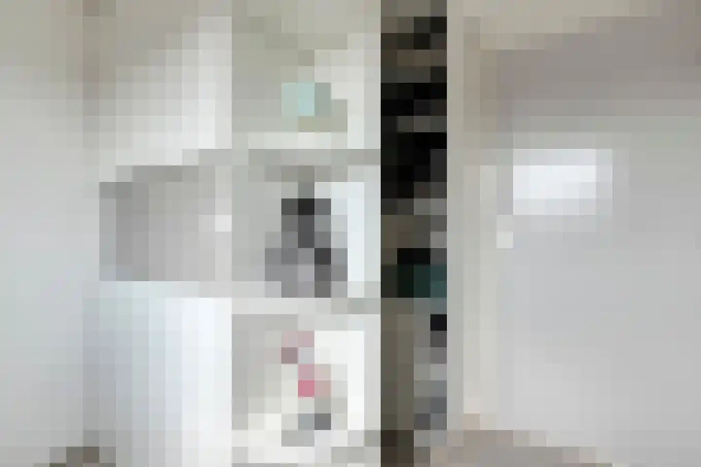 Prinsenkampsweg 14 Almelo thumbnail 24