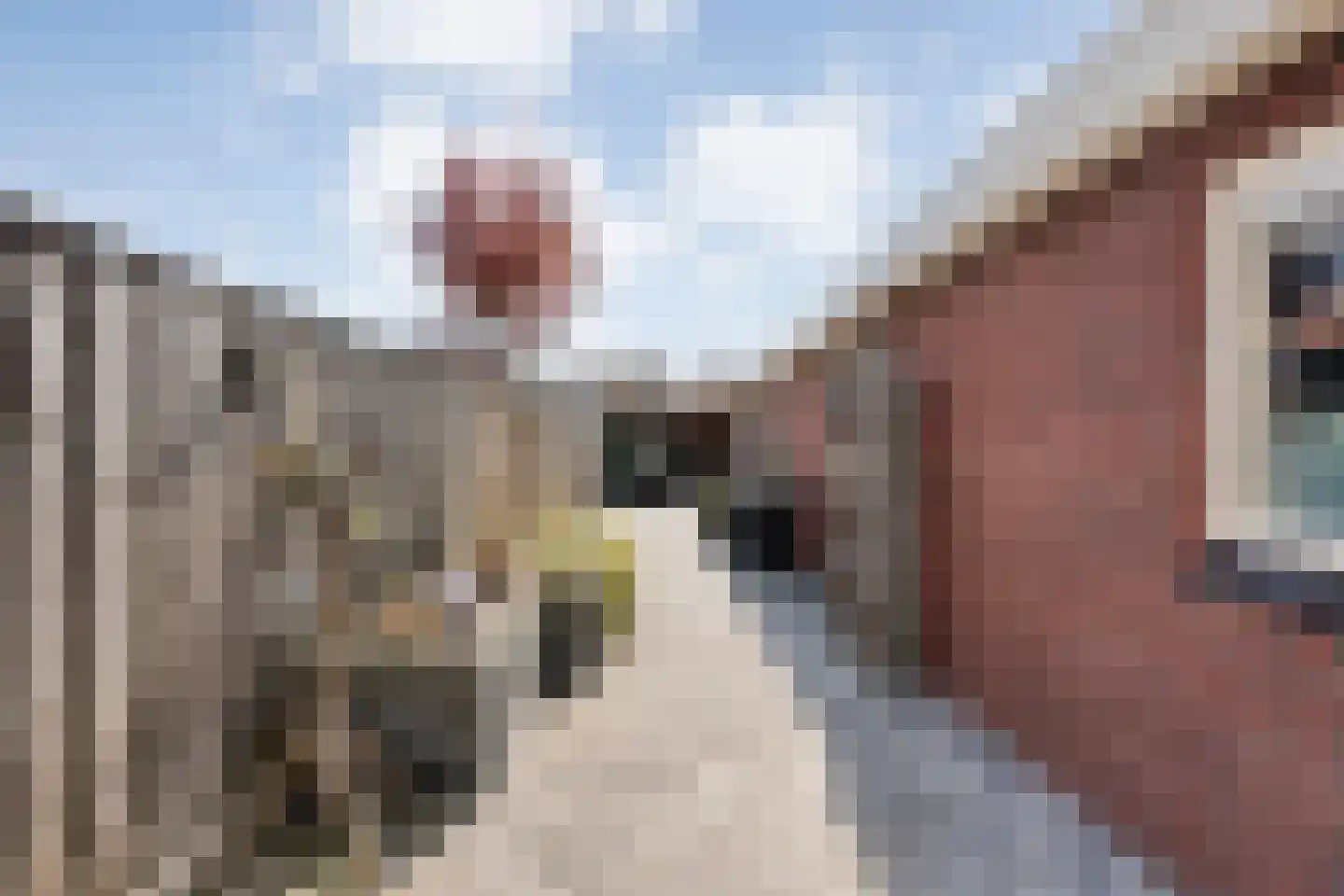 Prinsenkampsweg 14 Almelo thumbnail 25