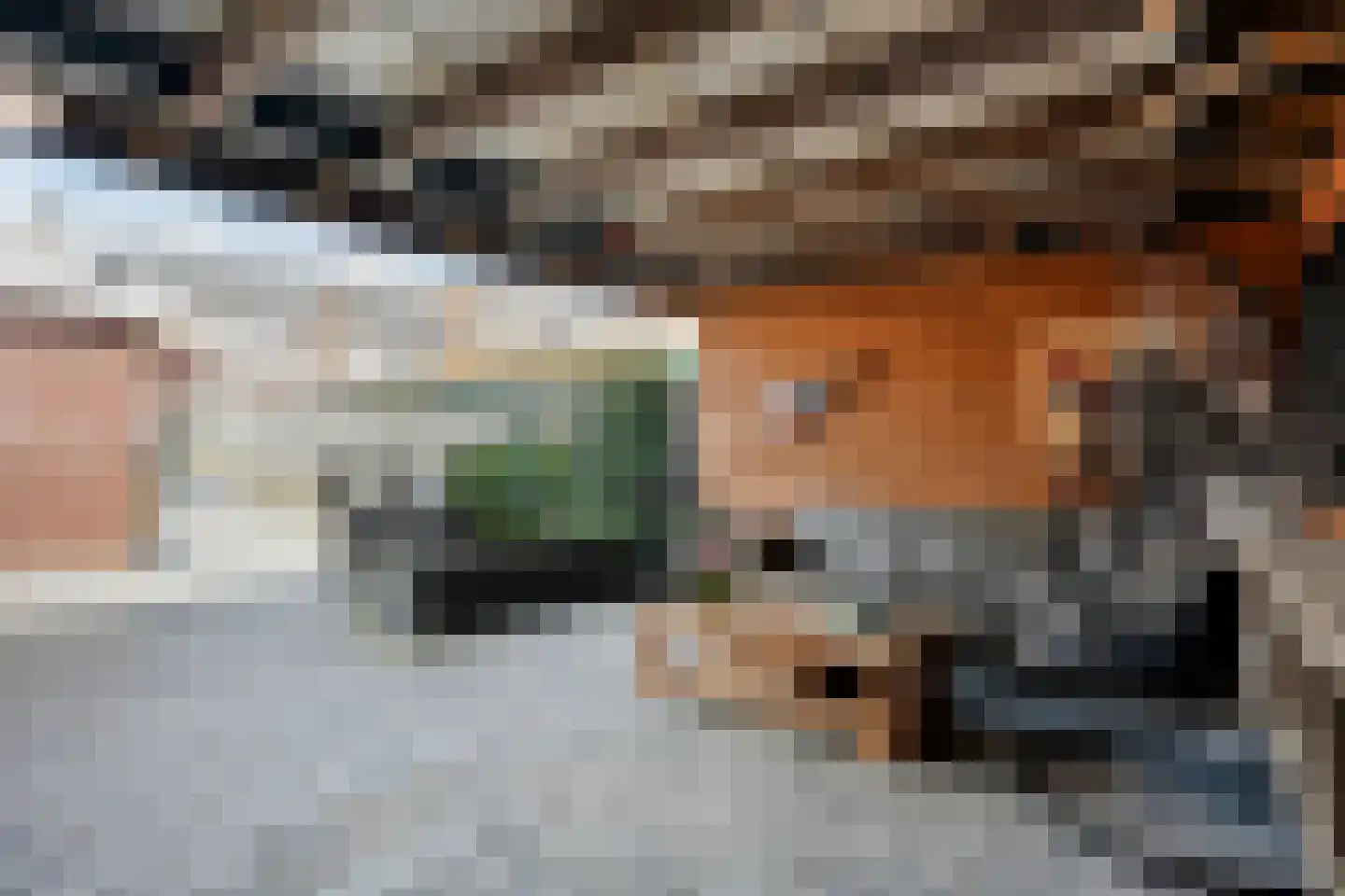 Prinsenkampsweg 14 Almelo thumbnail 30