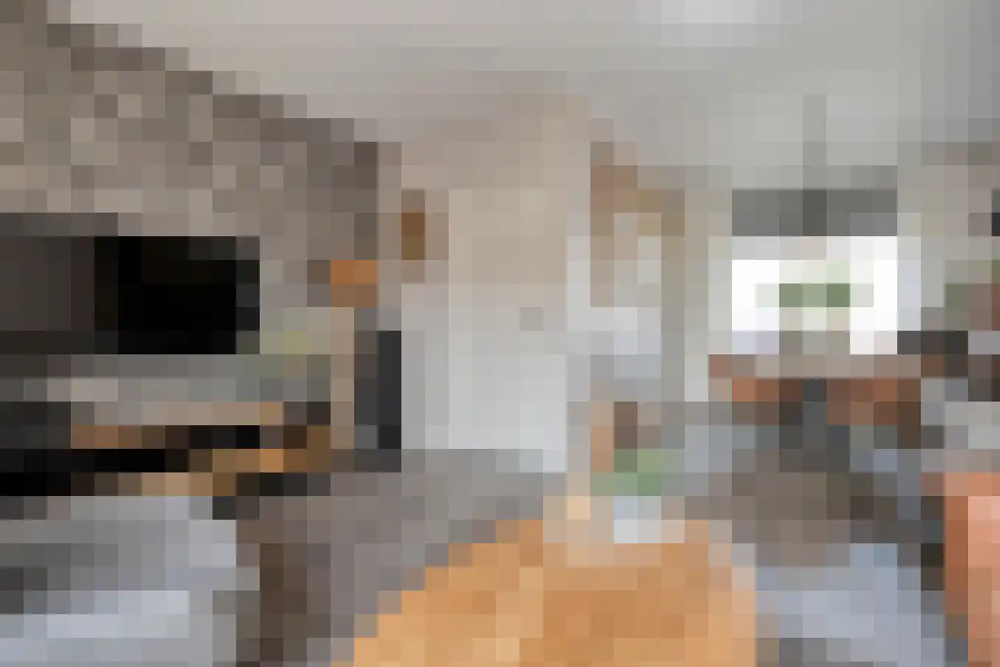 Prinsenkampsweg 14 Almelo thumbnail 4
