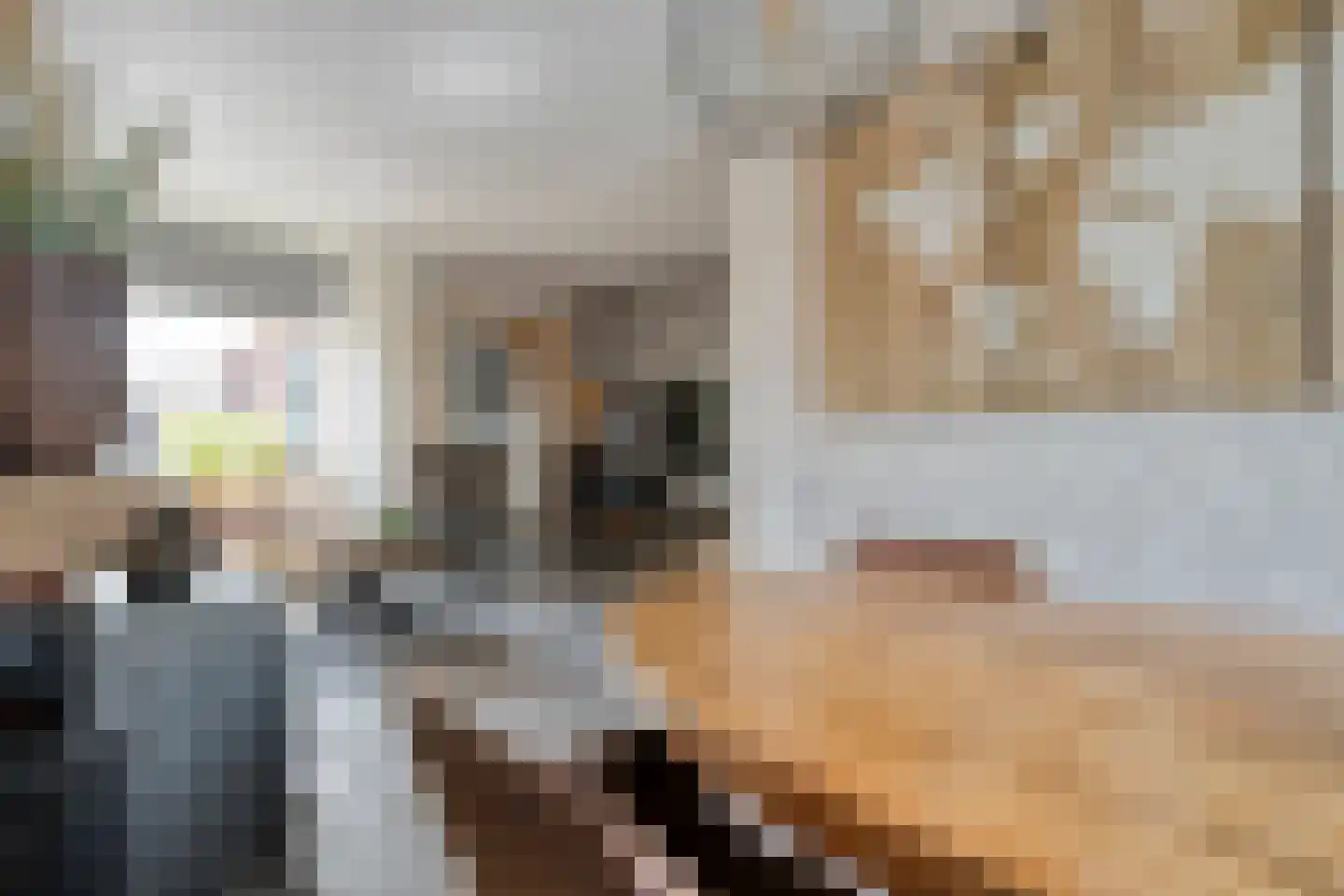 Prinsenkampsweg 14 Almelo thumbnail 7