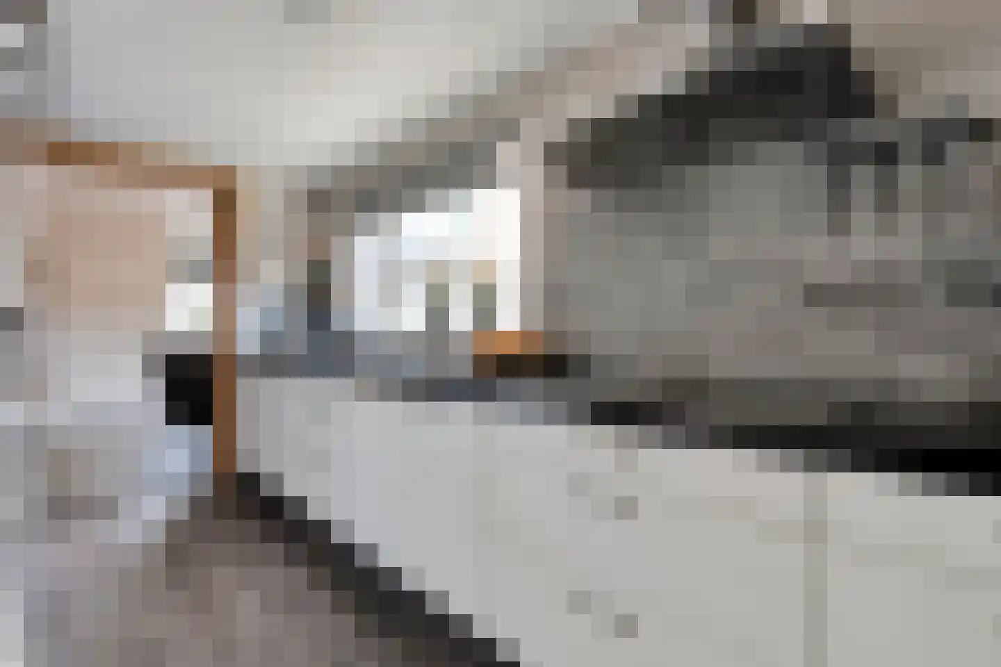 Prinsenkampsweg 14 Almelo thumbnail 9