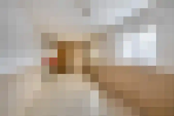 Prinsenkampsweg 6 Almelo thumbnail 16