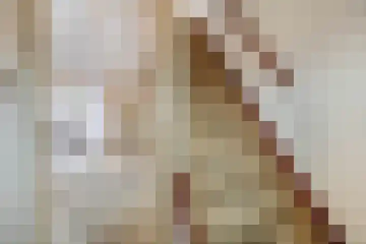 Prinsenkampsweg 6 Almelo thumbnail 6