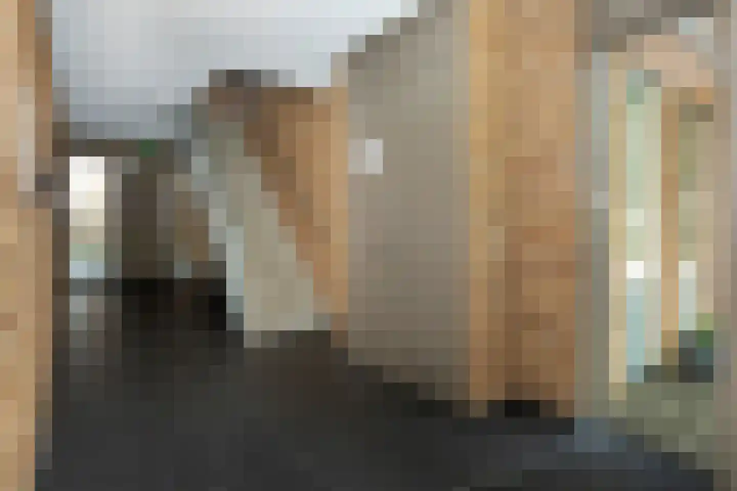 Prinsenlaan 11 b Scherpenzeel thumbnail 16