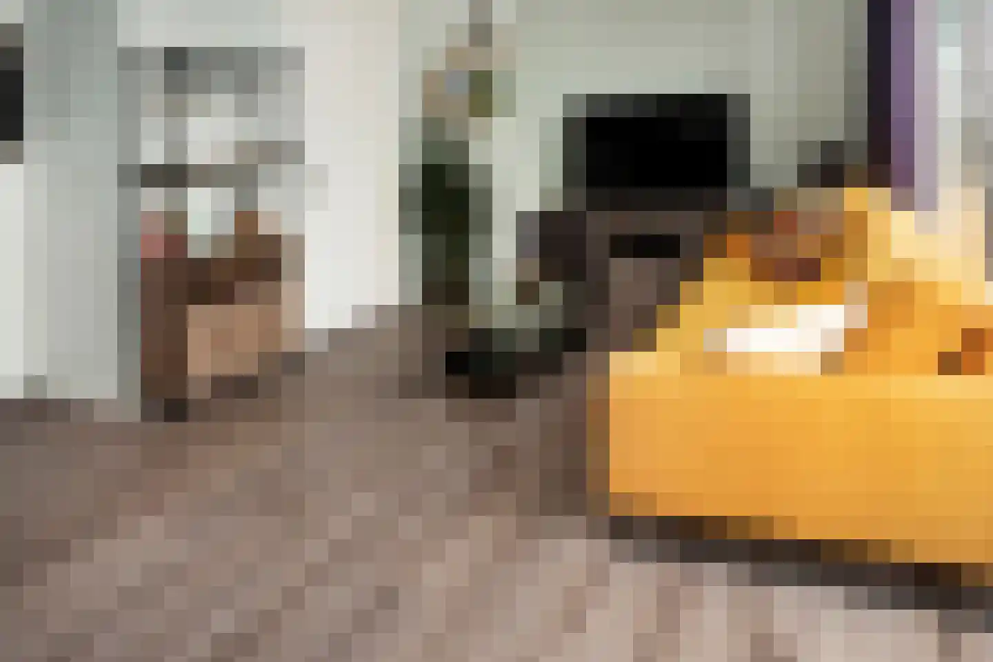 Prinsenlaan 11 b Scherpenzeel thumbnail 5