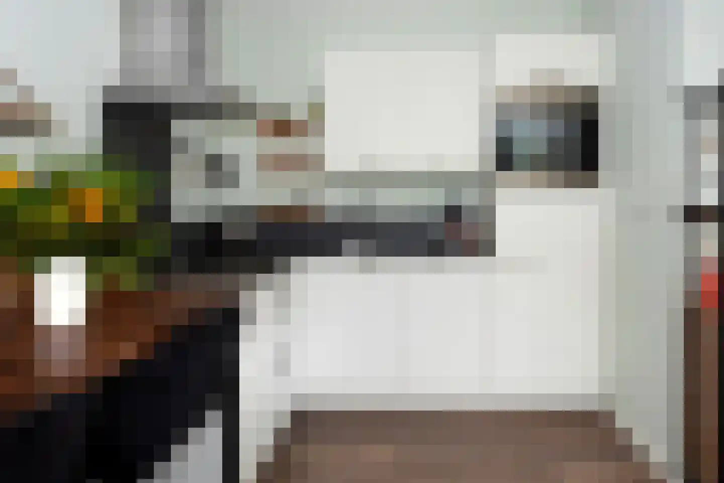 Prinsenlaan 11 b Scherpenzeel thumbnail 7