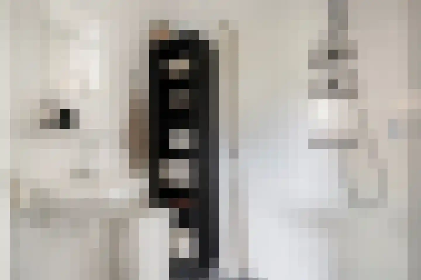 Prinsenlaan 11 Scherpenzeel thumbnail 12