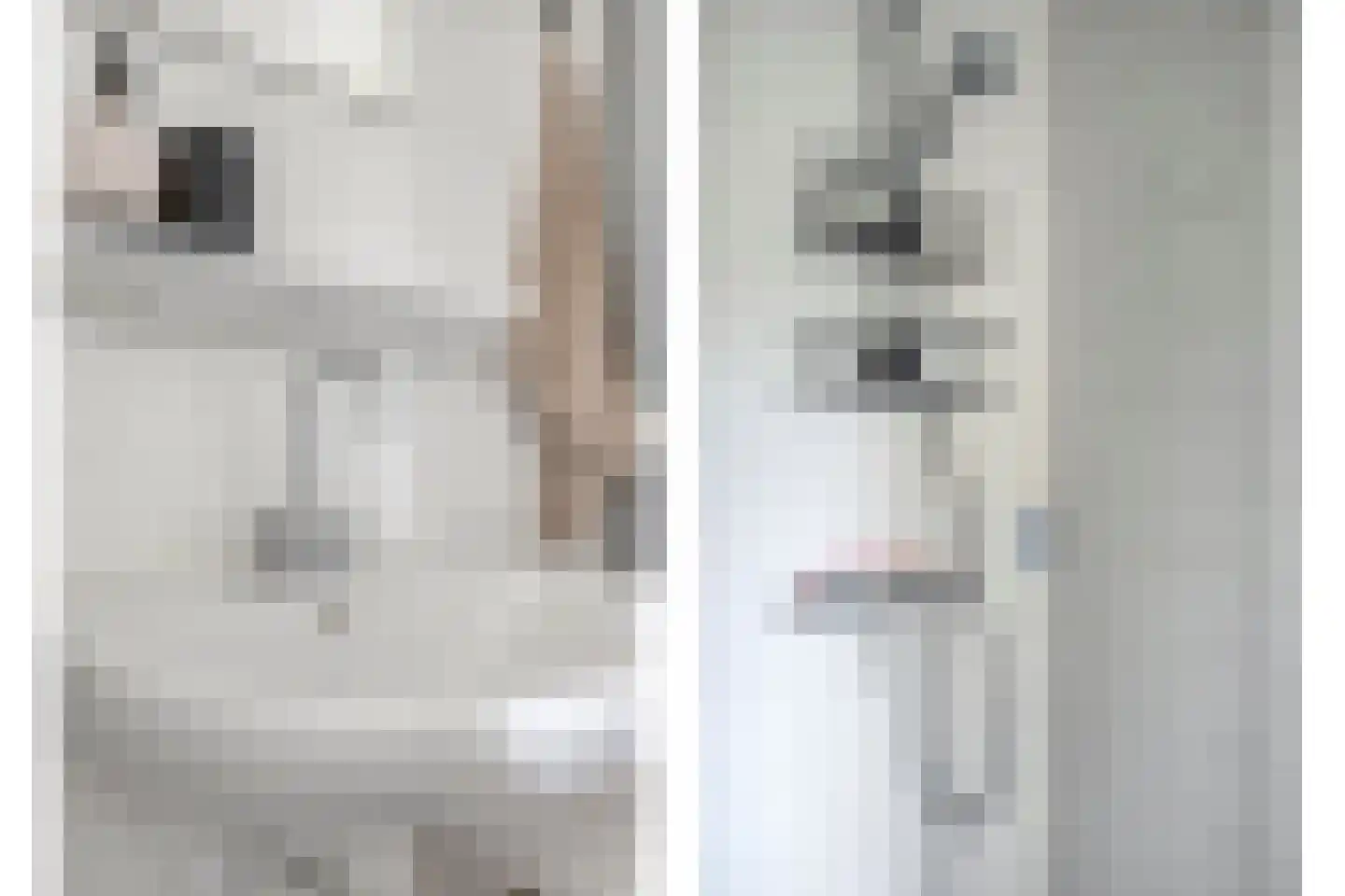 Prinsenlaan 11 Scherpenzeel thumbnail 13