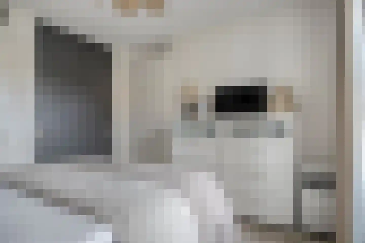 Prinsenlaan 11 Scherpenzeel thumbnail 16