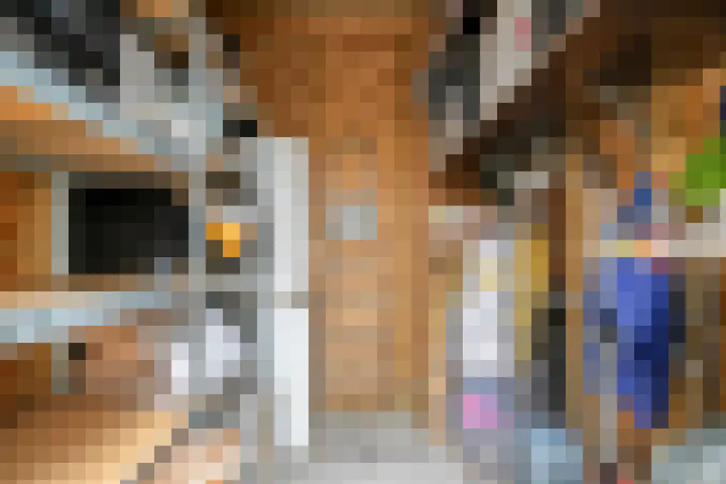Prinsenlaan 11 Scherpenzeel thumbnail 18