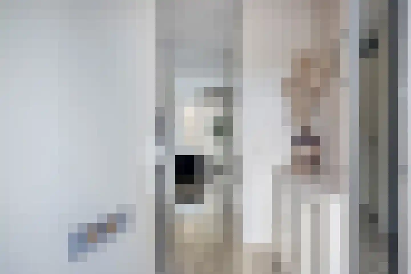 Prinsenlaan 11 Scherpenzeel thumbnail 19