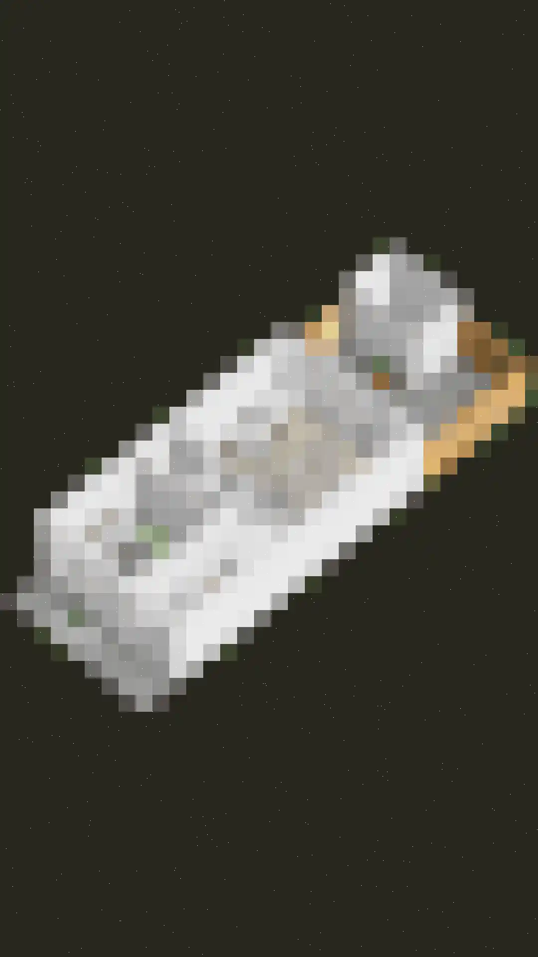 Prinsenlaan 11 Scherpenzeel thumbnail 28