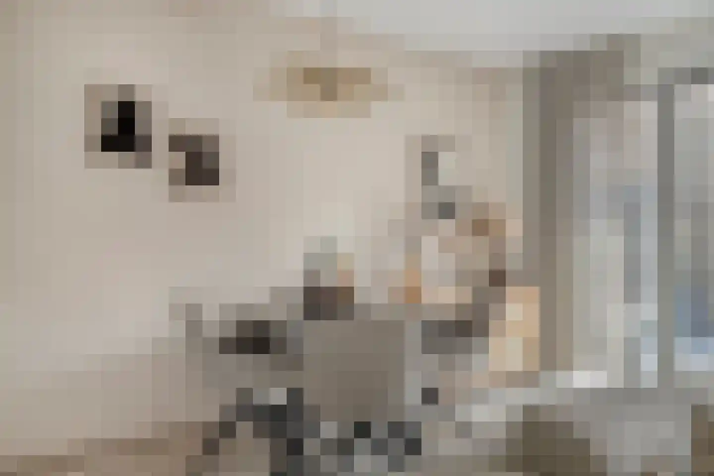 Prinsenlaan 11 Scherpenzeel thumbnail 6