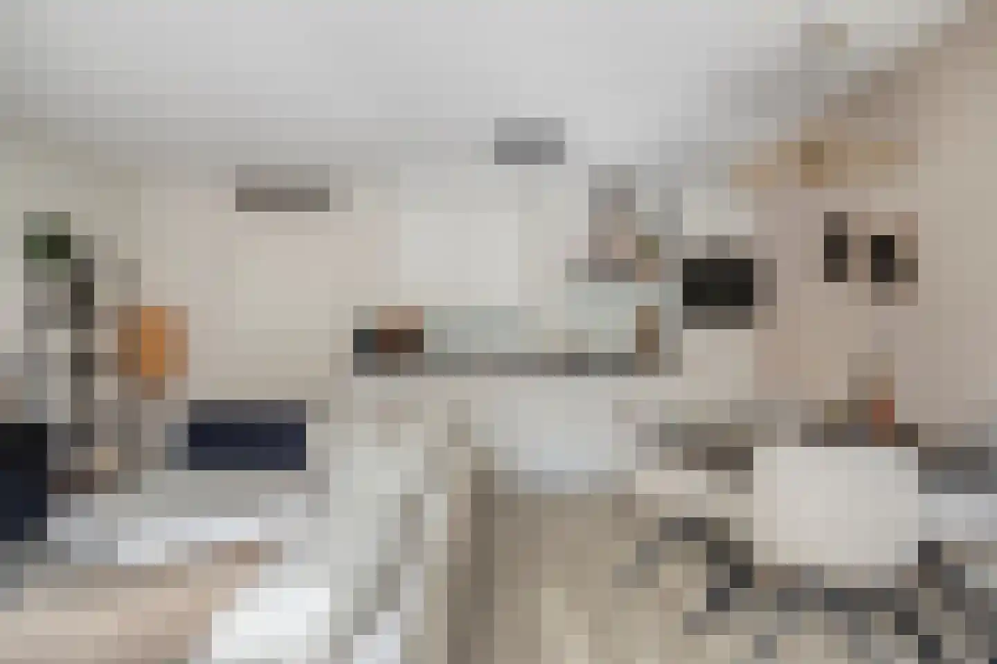 Prinsenlaan 11 Scherpenzeel thumbnail 7