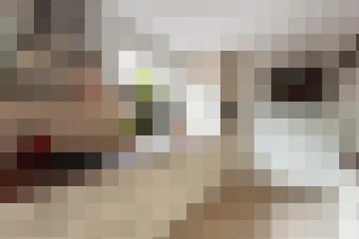 Prinsenlaan 11 Woerden thumbnail 18