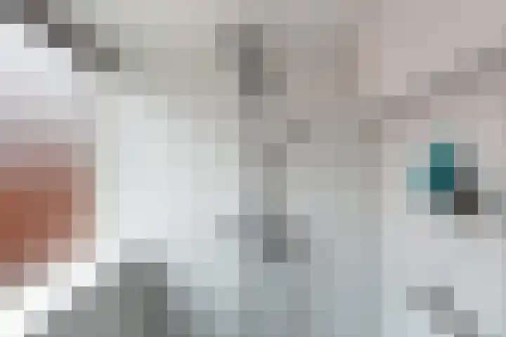 Prinsenlaan 11 Woerden thumbnail 37
