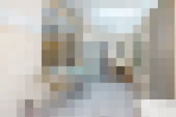 Prinsenlaan 12 Maasdijk thumbnail 16