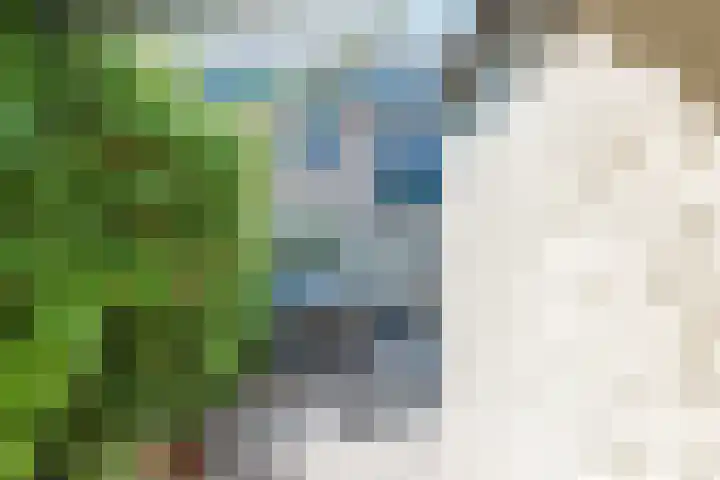 Prinsenlaan 12 Maasdijk thumbnail 20