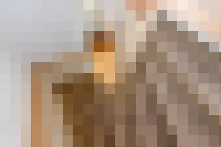 Prinsenlaan 12 Maasdijk thumbnail 25