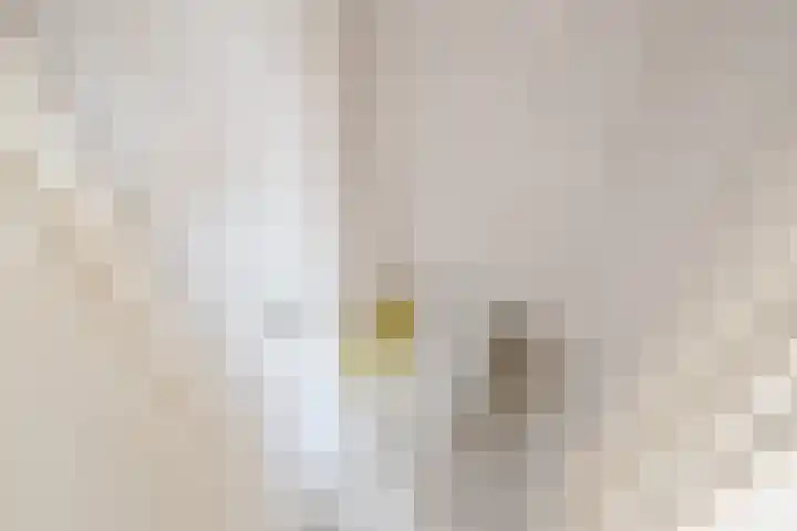 Prinsenlaan 12 Maasdijk thumbnail 34