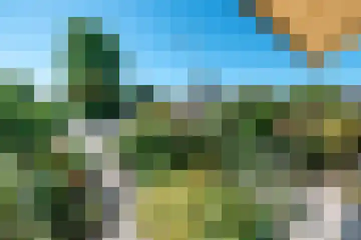 Prinsenlaan 12 Maasdijk thumbnail 45