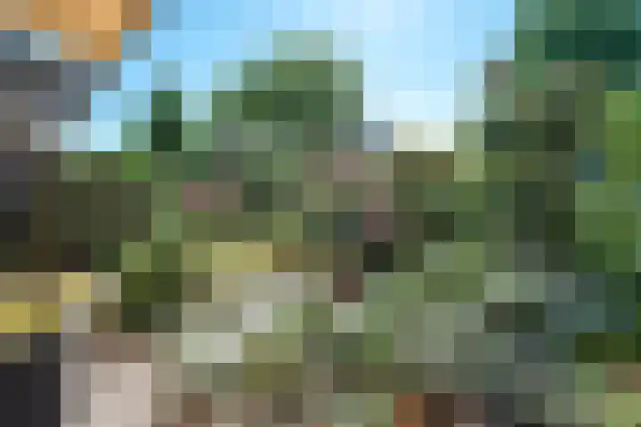 Prinsenlaan 12 Maasdijk thumbnail 46