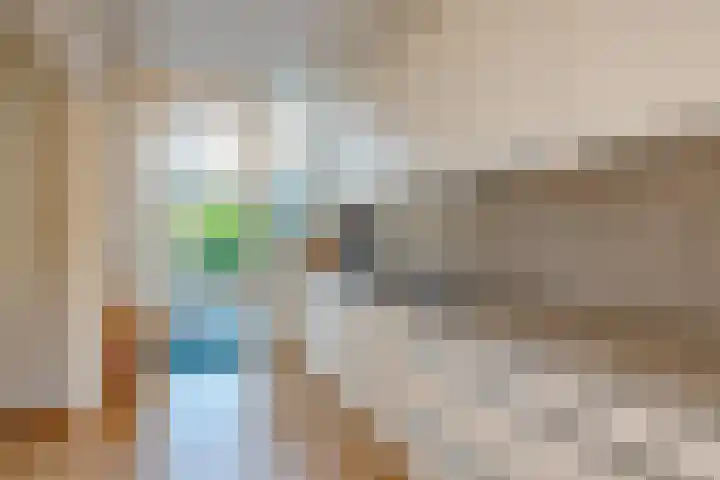 Prinsenlaan 12 Maasdijk thumbnail 8