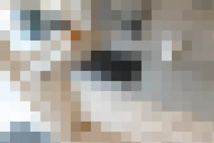 Prinsenlaan 12 Maasdijk thumbnail 9