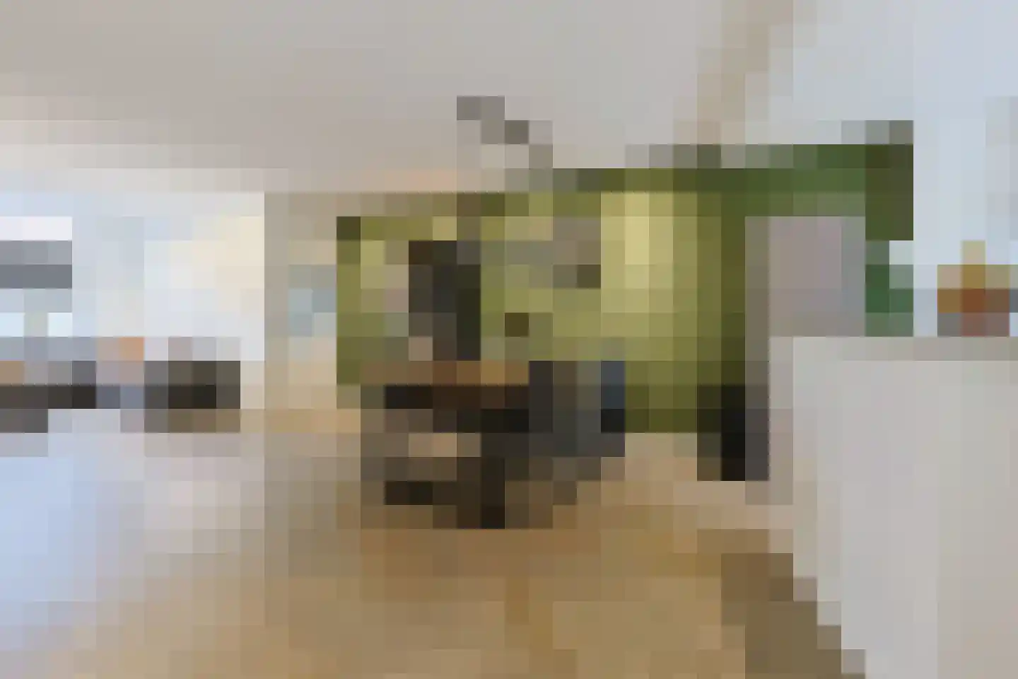 Prinsenlaan 17 Alphen aan den Rijn thumbnail 11