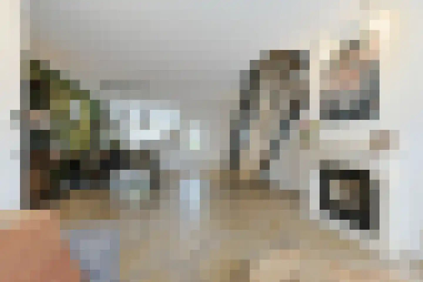 Prinsenlaan 17 Alphen aan den Rijn thumbnail 9