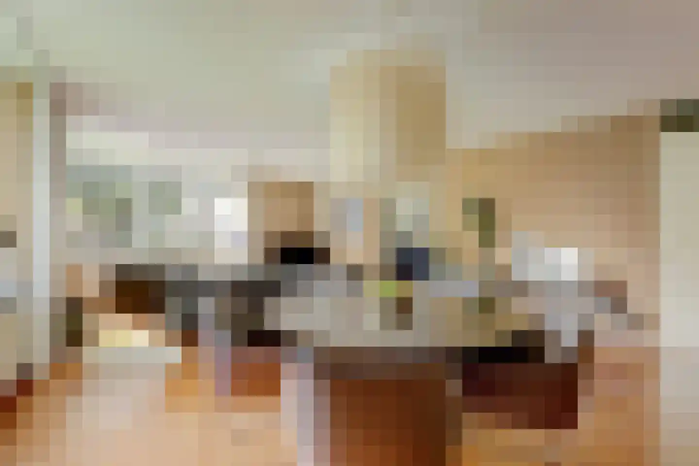 Prinsenlaan 202 Rotterdam thumbnail 10