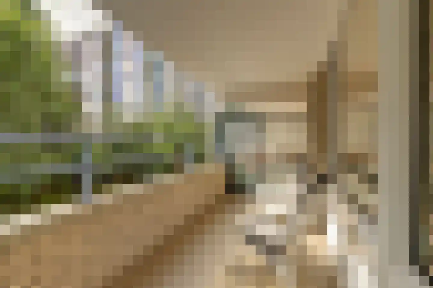 Prinsenlaan 202 Rotterdam thumbnail 14
