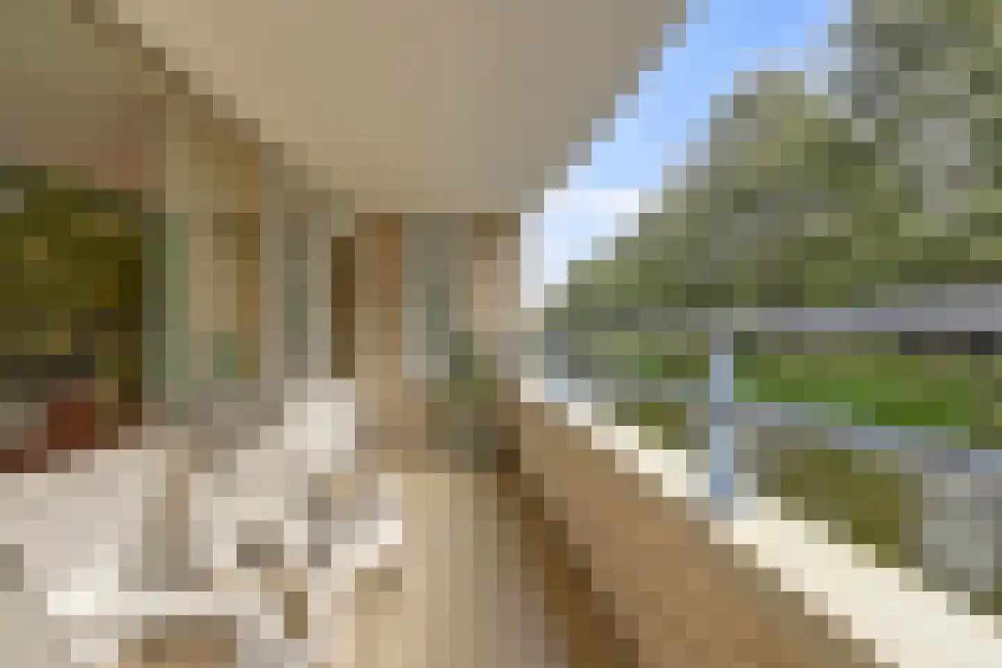 Prinsenlaan 202 Rotterdam thumbnail 15