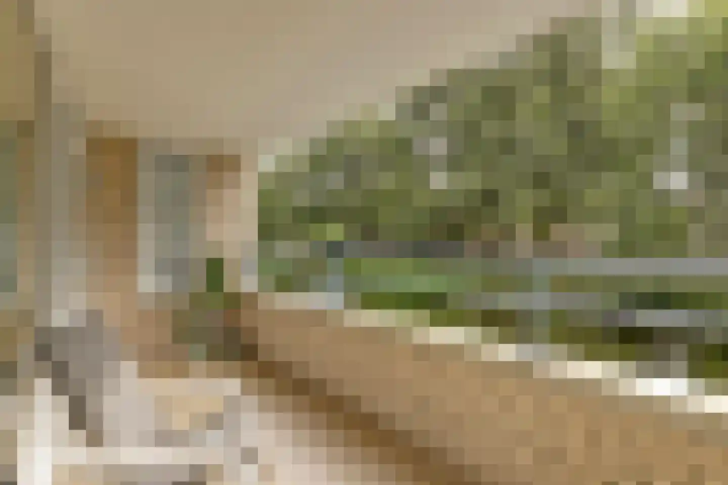 Prinsenlaan 202 Rotterdam thumbnail 16