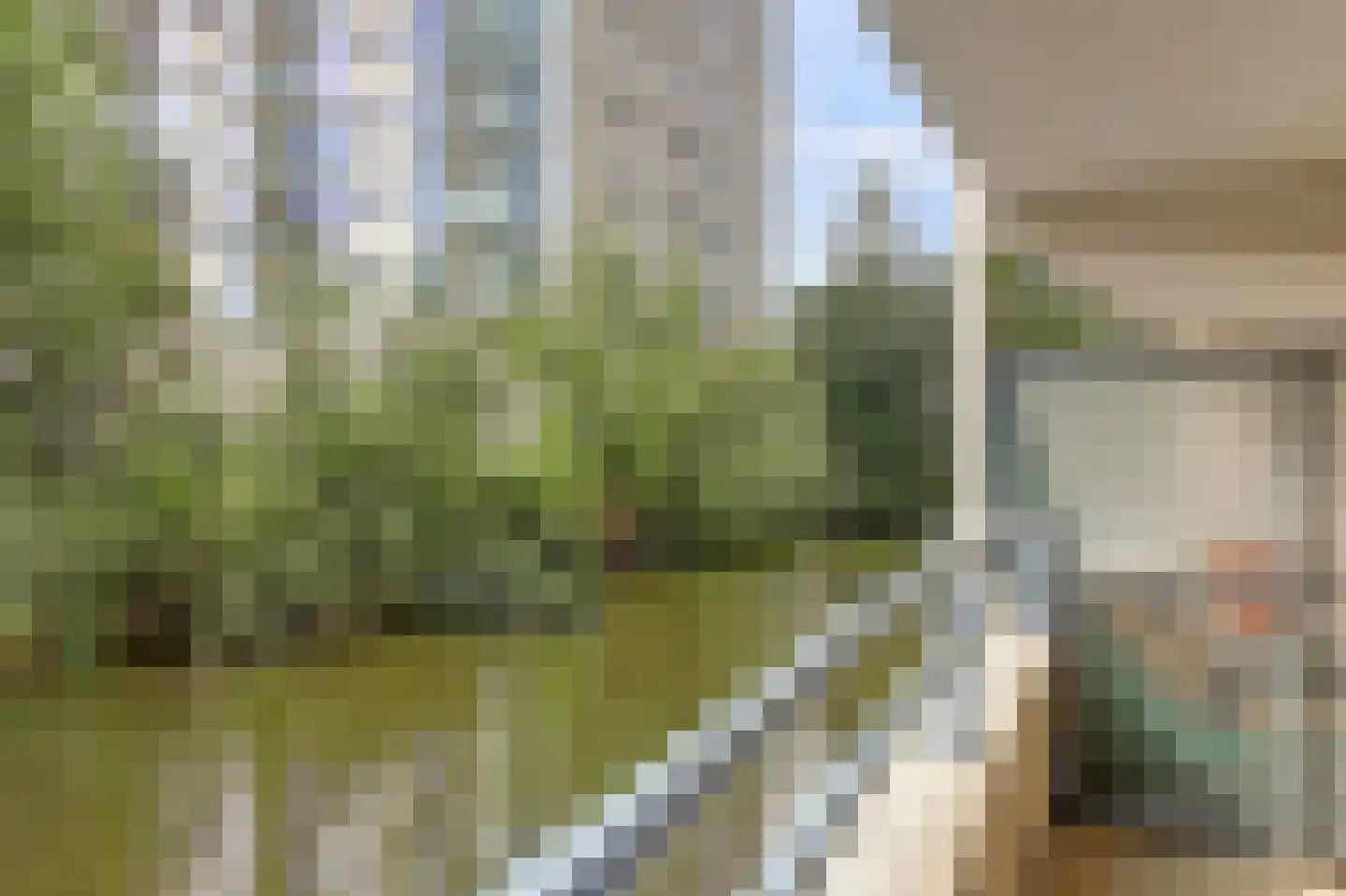 Prinsenlaan 202 Rotterdam thumbnail 17