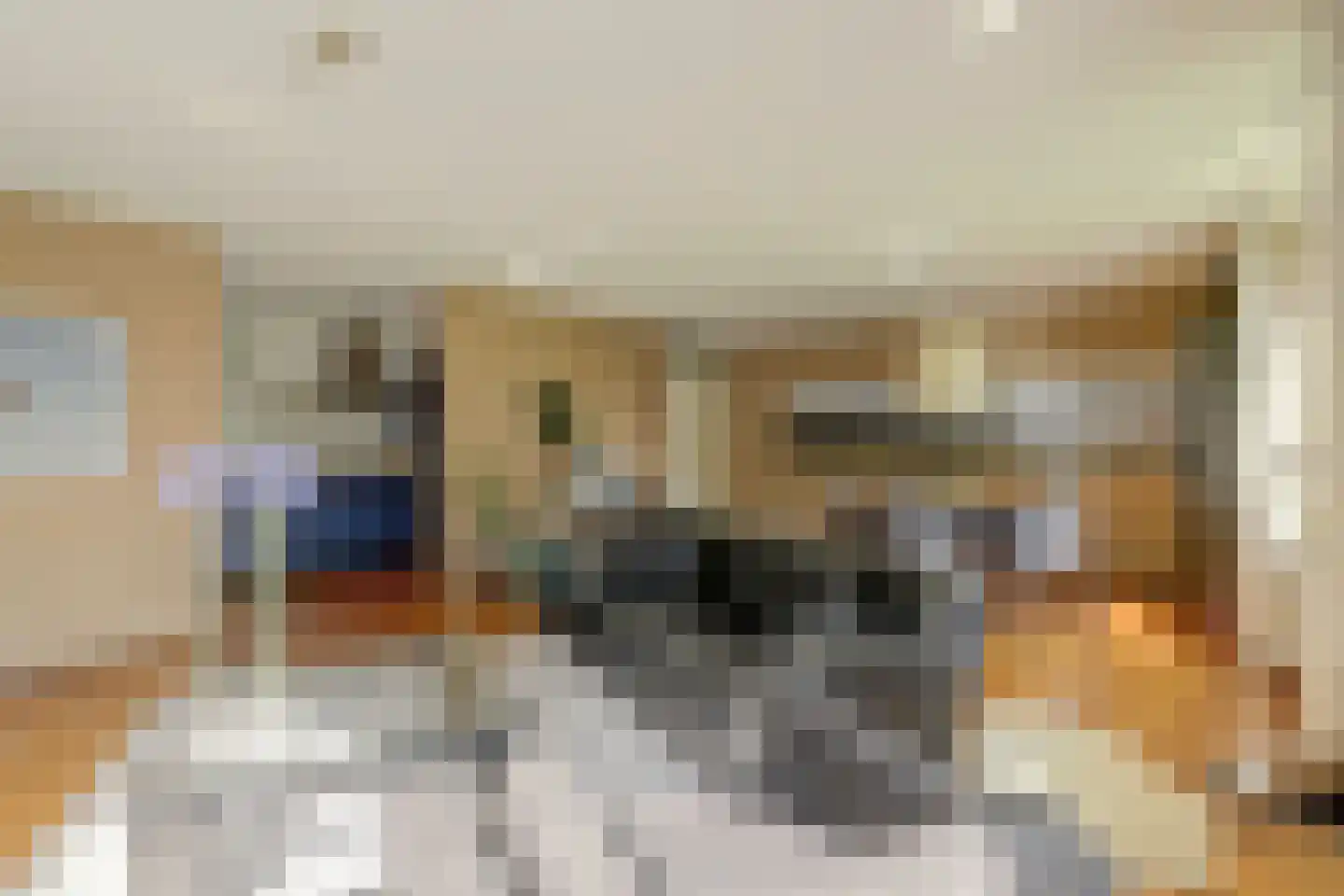 Prinsenlaan 202 Rotterdam thumbnail 7