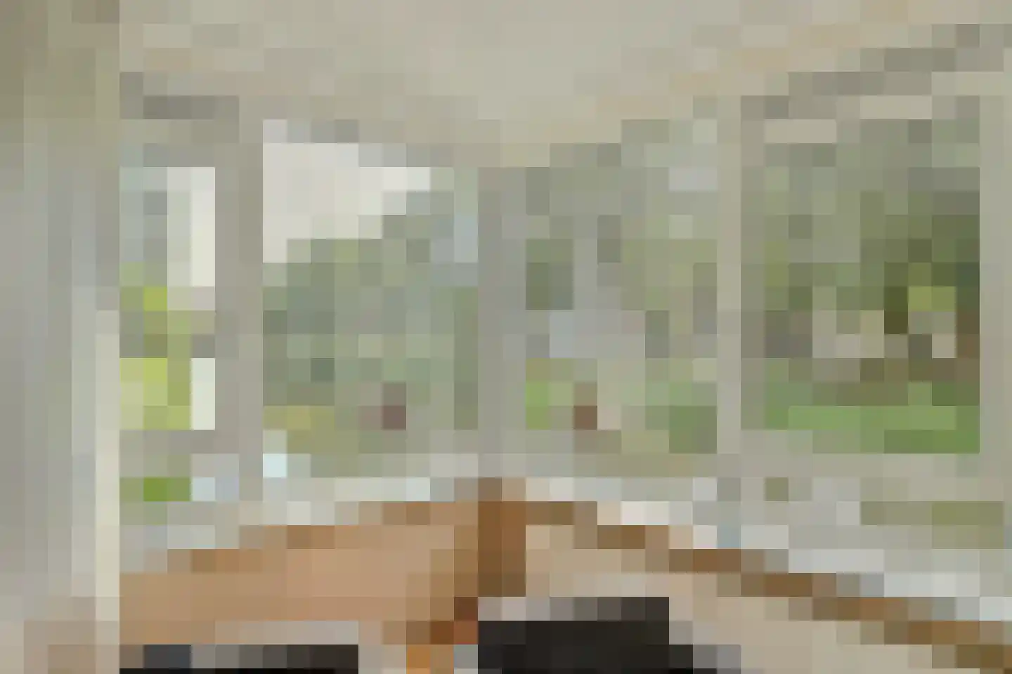 Prinsenlaan 202 Rotterdam thumbnail 8