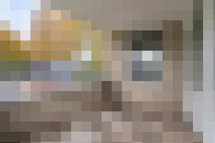 Prinsenlaan 212 Rotterdam thumbnail 10