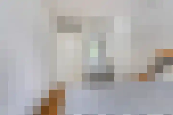 Prinsenlaan 212 Rotterdam thumbnail 15