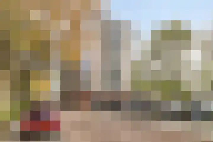 Prinsenlaan 212 Rotterdam thumbnail 23