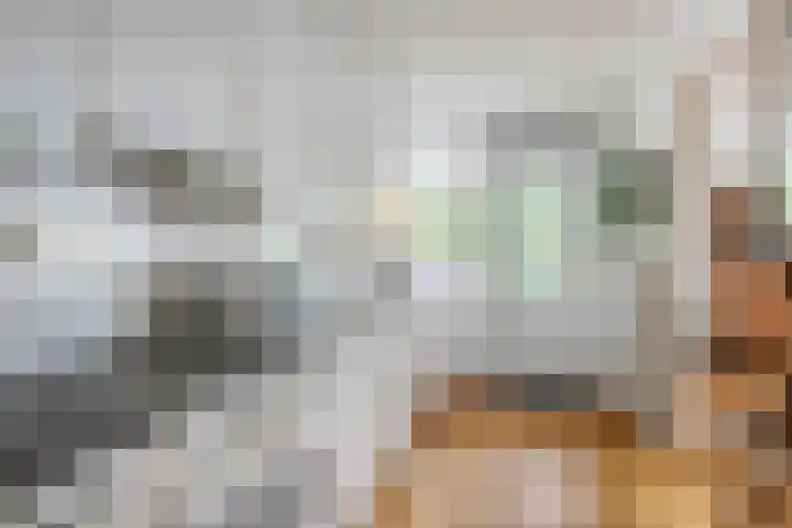 Prinsenlaan 212 Rotterdam thumbnail 7