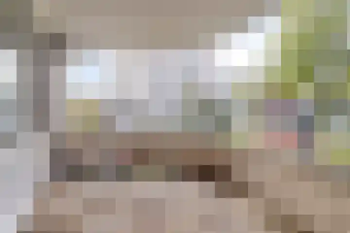 Prinsenlaan 212 Rotterdam thumbnail 9