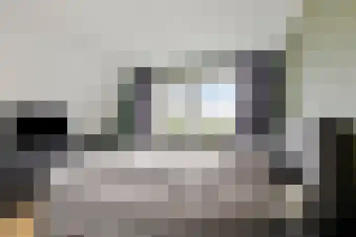 Prinsenlaan 22 Maasdijk thumbnail 21