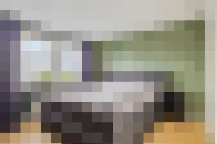Prinsenlaan 22 Maasdijk thumbnail 22