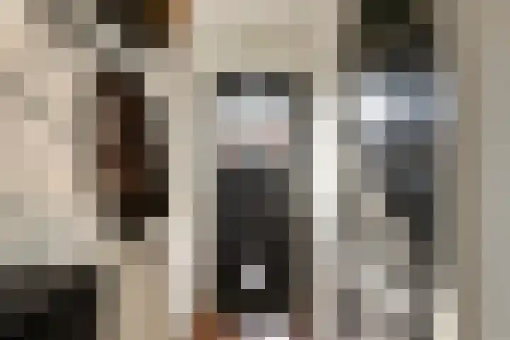 Prinsenlaan 22 Maasdijk thumbnail 4