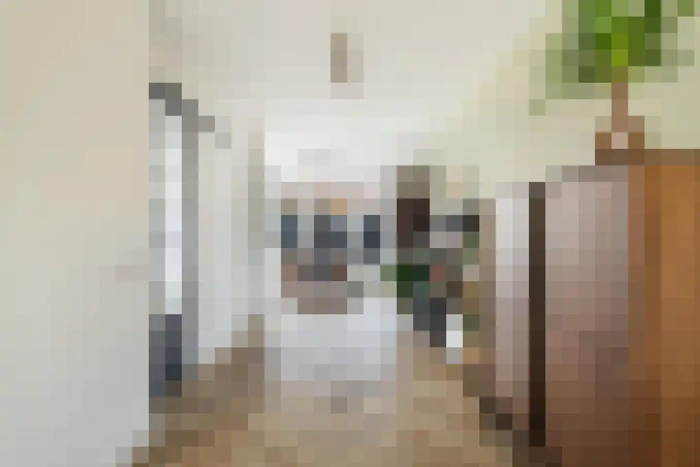 Prinsenlaan 23 Woerden thumbnail 11